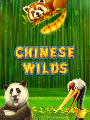 win88 lotto ทดลองเล่น chinese-wilds